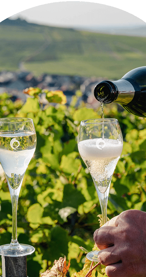 cocktail déjeunatoire